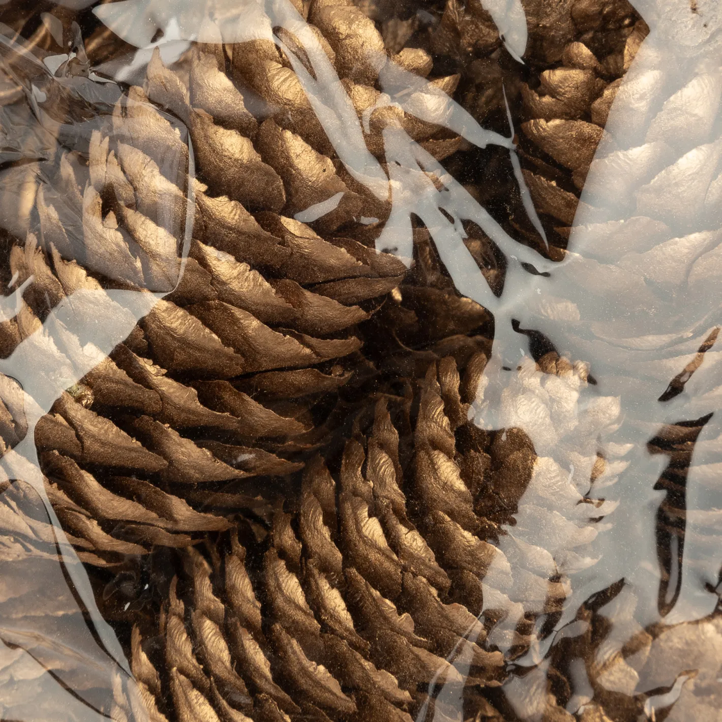 Bolsa de 18 piezas piñas doradas^Casa Viva Sale