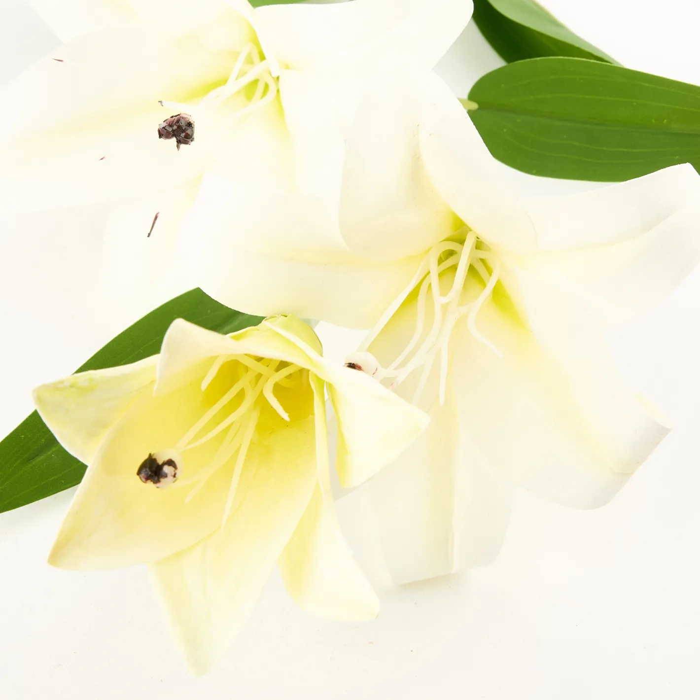 Flor artificial lirio blanco 72cm^Casa Viva