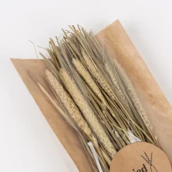 Ramo de ramas secas natural^Casa Viva Best